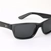 Fox Matrix Black Casual/Grey Lense