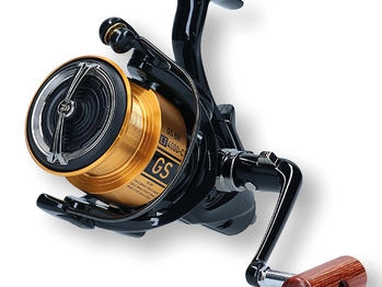 Daiwa GS BR LT 4000-C